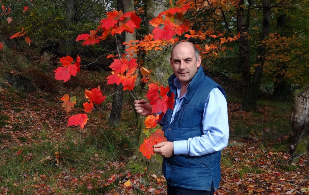 Henry Wild (above) admits that nature has the upper hand this year when it comes to colourful displays</span srcset=