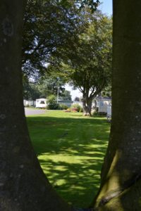 Moss Wood's green safari takes in wildlife highlights around the park's grounds