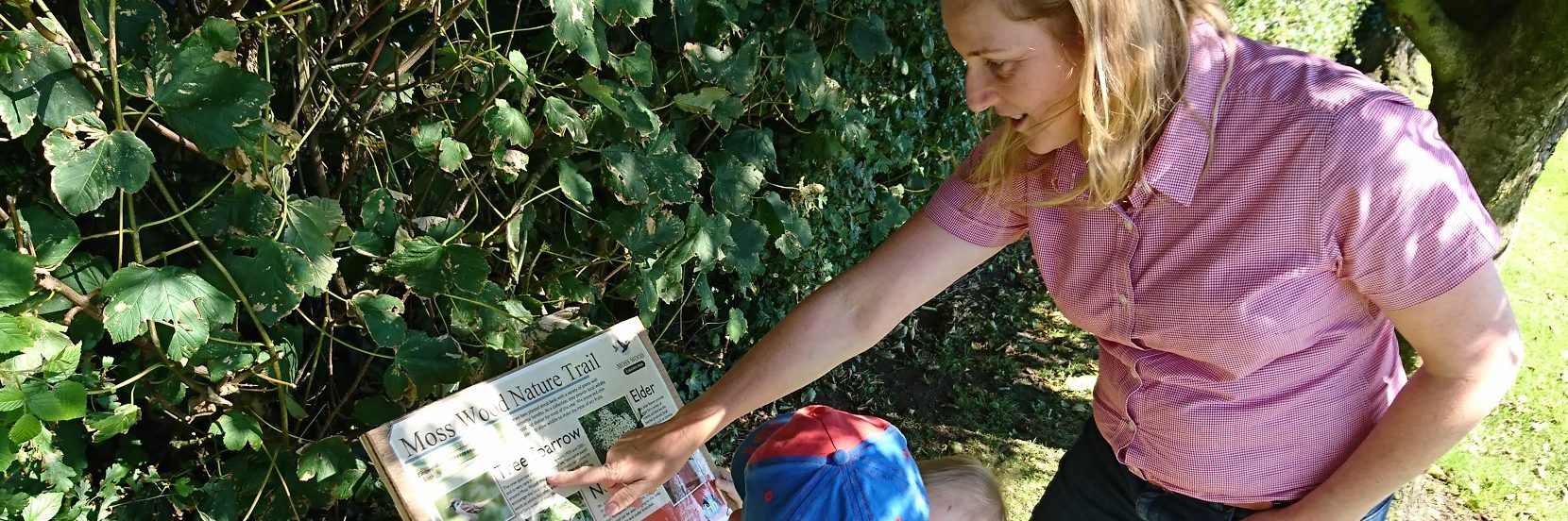Spotted anything? Nature interpretation boards along the trail highlight flora and fauna which can be seen nearby