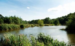 All angling skills are met with the park's well-stocked fishing ponds</span srcset=