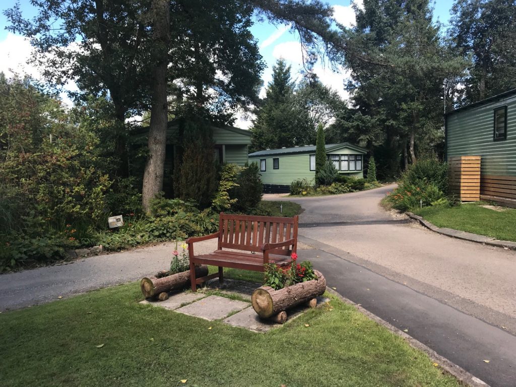 Countryside champion: wildlife-friendly surroundings bring green honours for Newby Bridge Caravan Park