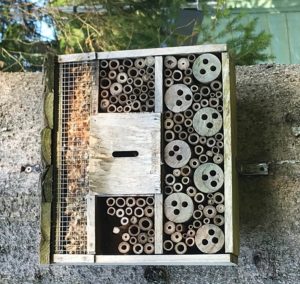 Logging on: drilled logs provide homes for solitary bees