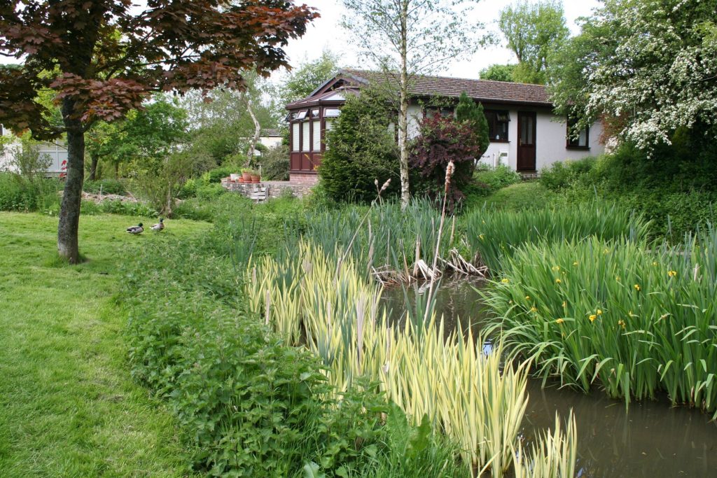 Wildlife-rich Nepgill Residential Park and its residents and family owners share a love for the natural world