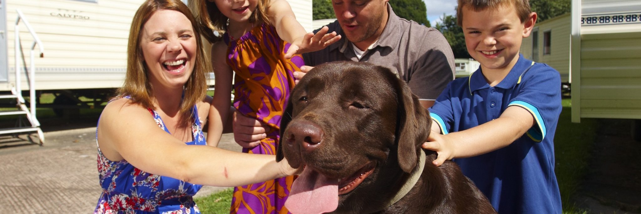 Oil crisis fuels holiday parks bookings boom for families – and Fido