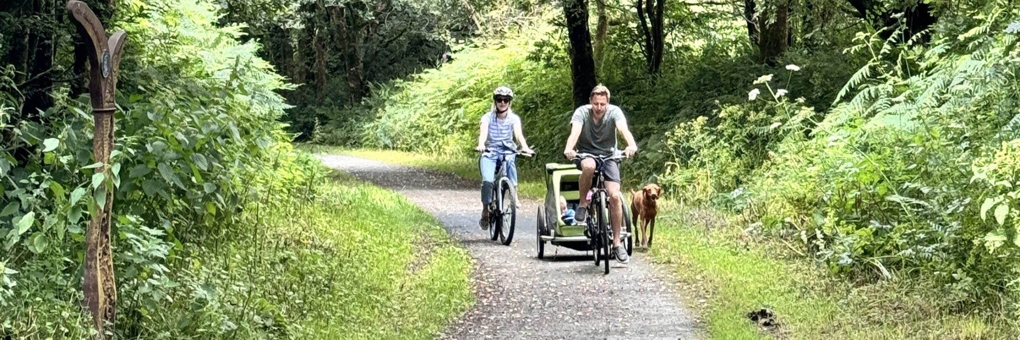 Wheely great! Devon park voted Britain’s best for cycling holidays